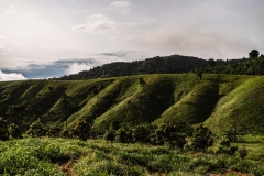 KOM05510-1_0