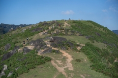 SMLT-909317_0