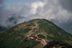 SMLT-909589_0