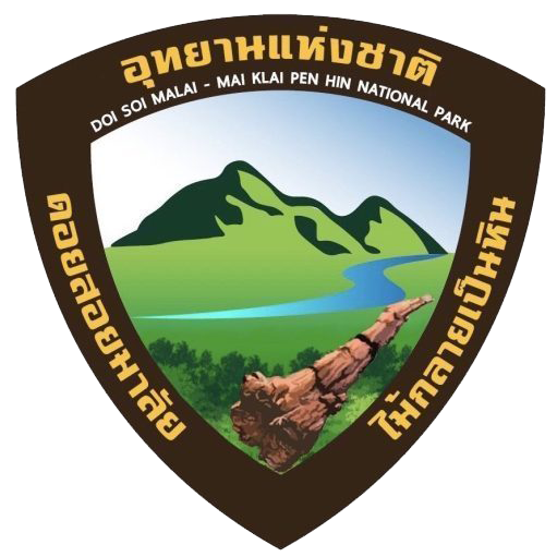 อุทยานแห่งชาติดอยสอยมาลัย-ไม้กลายเป็นหิน (เตรียมการ)